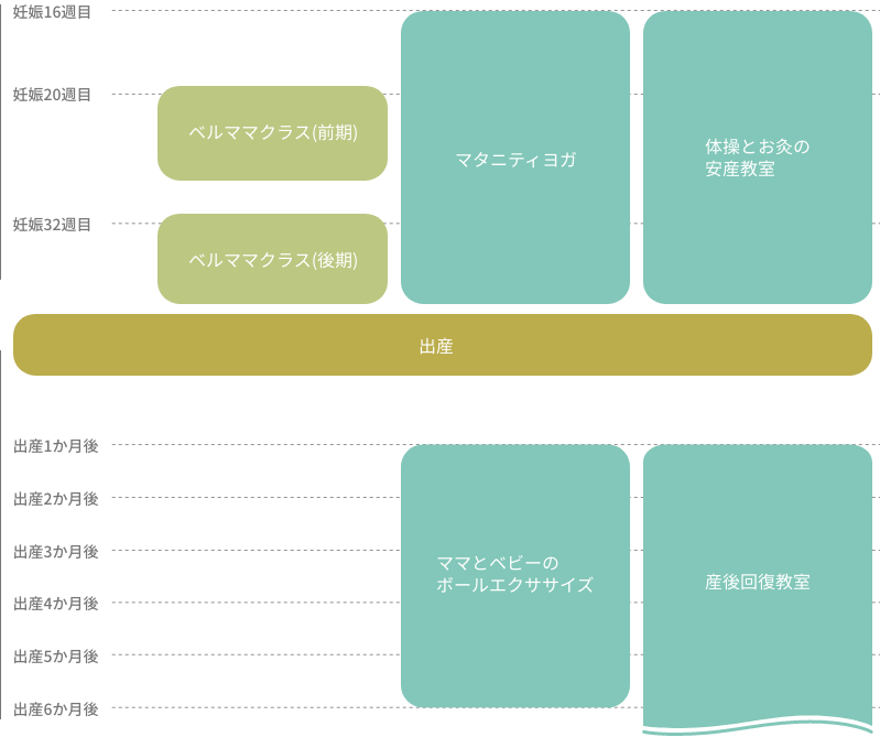 スケジュール