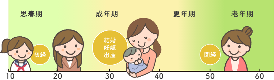 女性のライフスタイル